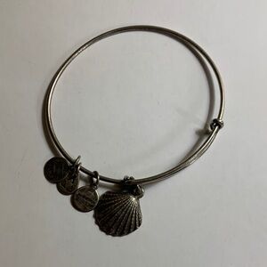 Alex and Ani Silver Charm Bangle